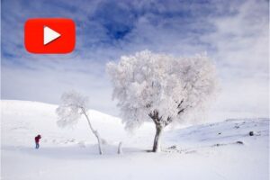 YouTube Kapak Fotoğrafı Nasıl Olmalı?